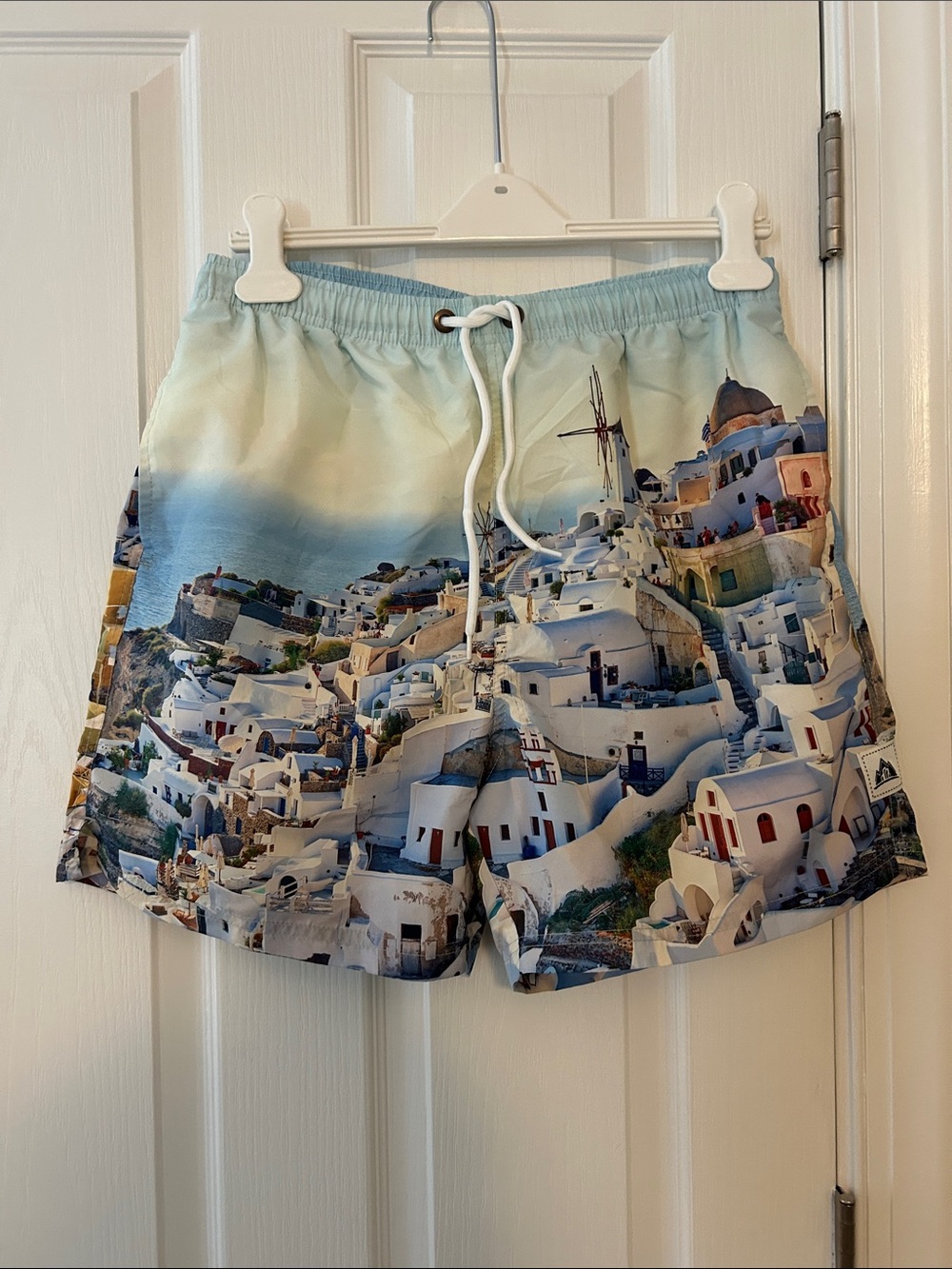 Men's Scenic Print Swim Shorts in Blue and White Size M